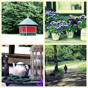 The lack of sun and the excess of spirit