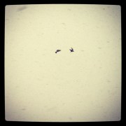 2013-02-08_1360334370