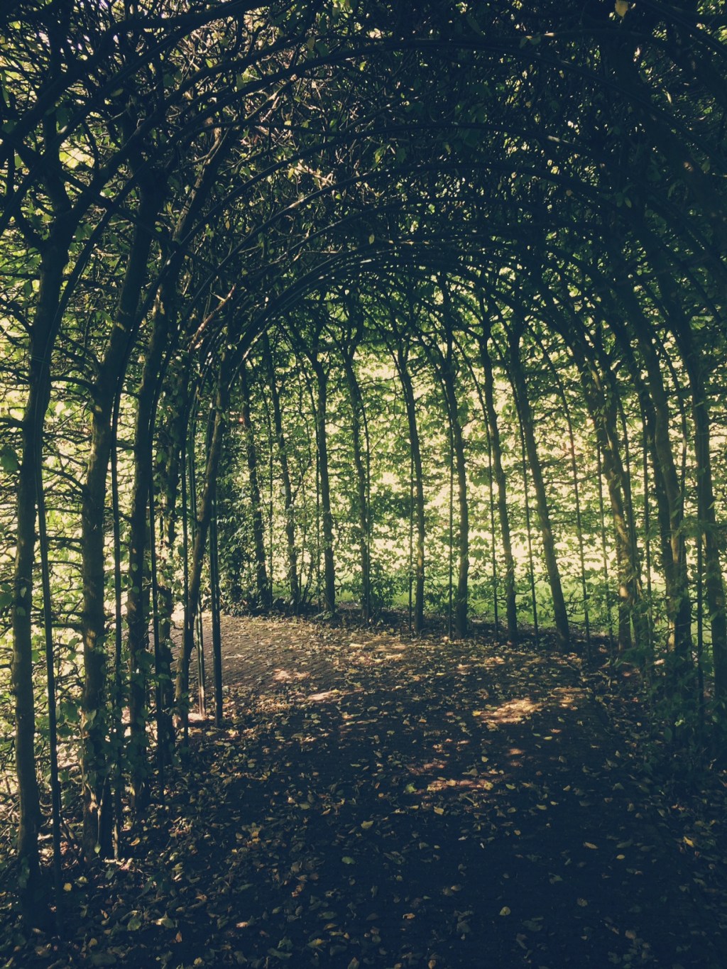 This is the house that Jack&nbsp;built