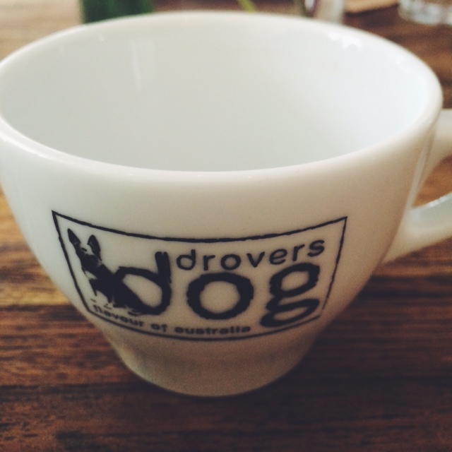 Drover’s Dog, Amsterdam