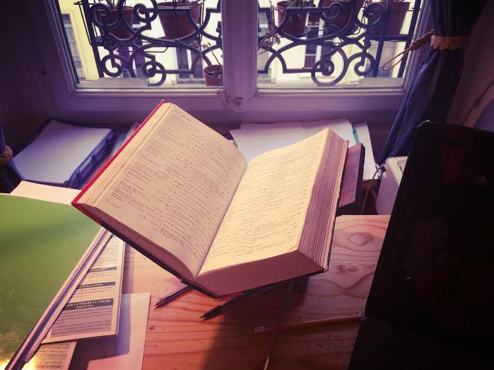 Paris in the&nbsp;rain