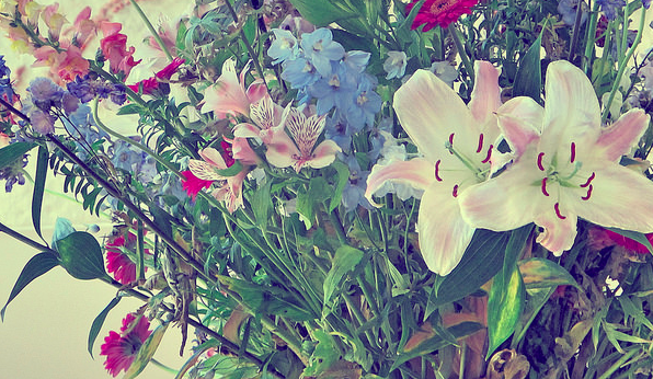 Hortus Botanicus, Amsterdam