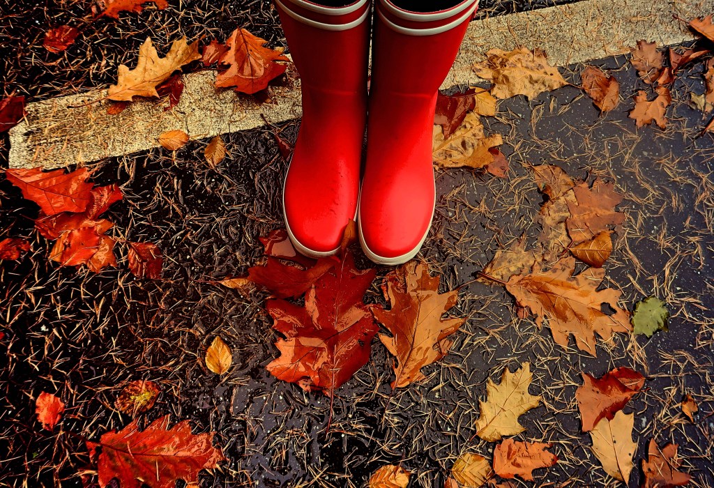 Day Two: Visit to the Kroller Muller&nbsp;museum