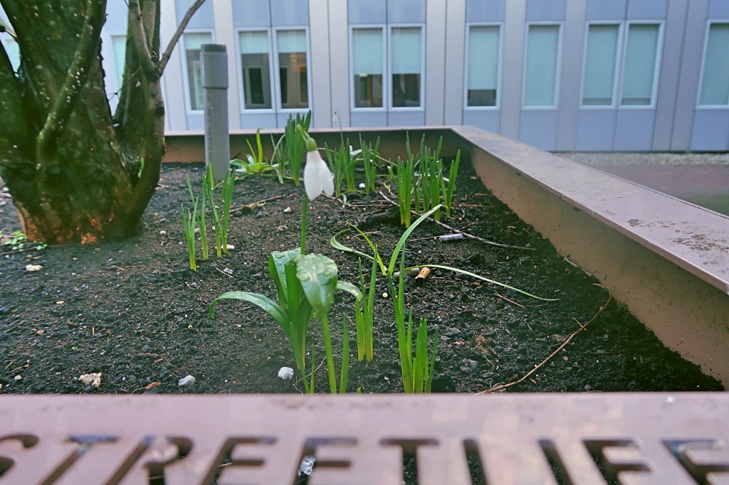 Spring, is that&nbsp;you?