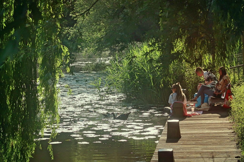 What to make of this&nbsp;summer?