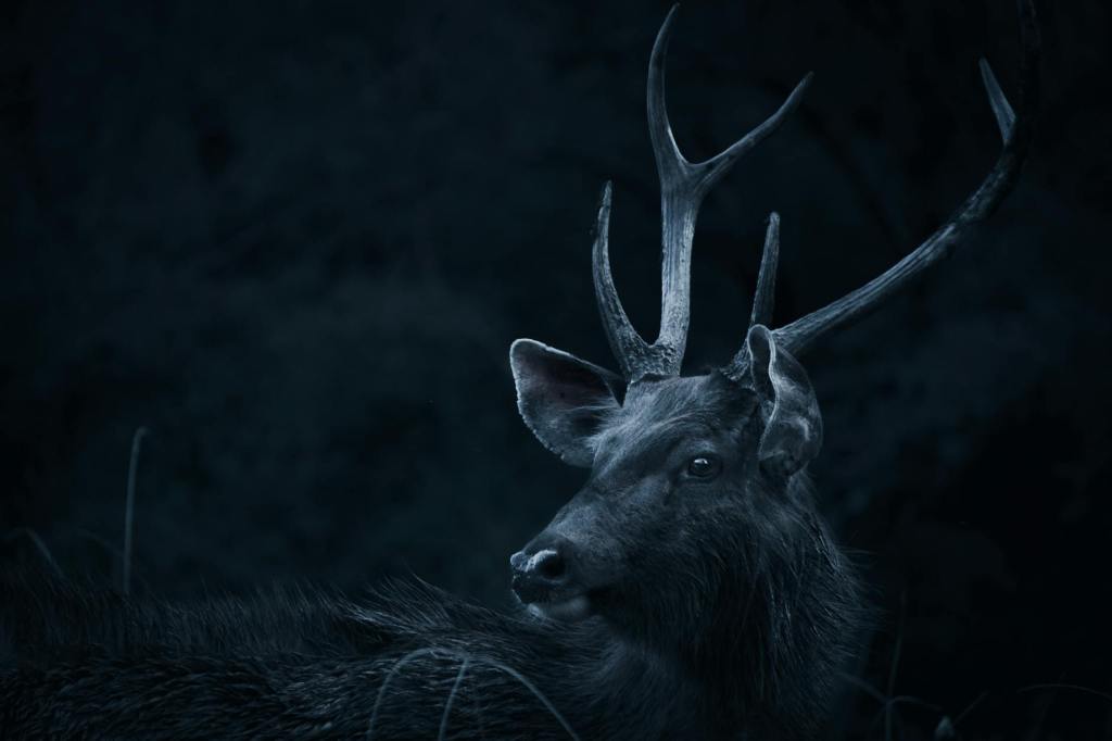 Unmothering the Mind: Demented Mothers in Literature and&nbsp;Theory